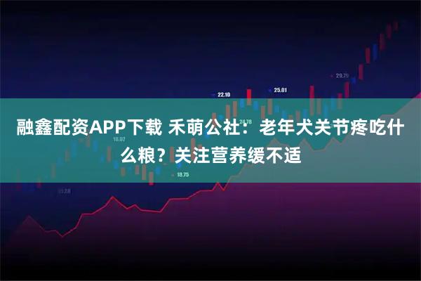 融鑫配资APP下载 禾萌公社：老年犬关节疼吃什么粮？关注营养缓不适