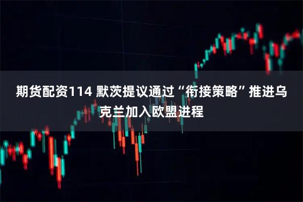 期货配资114 默茨提议通过“衔接策略”推进乌克兰加入欧盟进程
